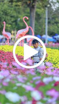 BIB:  <button type="button" onclick="openModal(27583135)" class="btn btn-primary btn-sm float-right" data-toggle="modal" data-target=".modal-high-quality">
                <i class="fa fa-download"></i> Download
                </button>